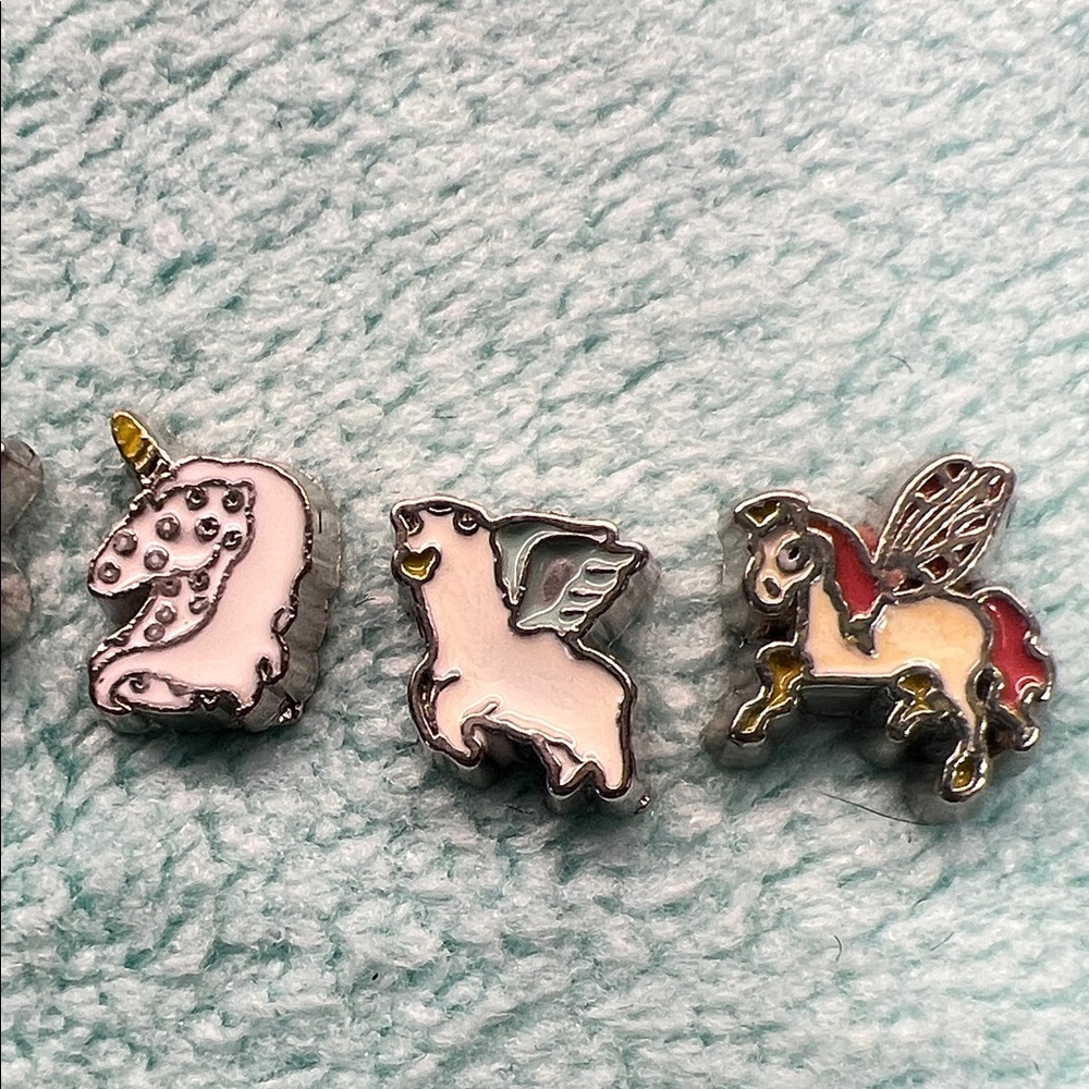 Floating Locket Charms - Picture 4 of 4